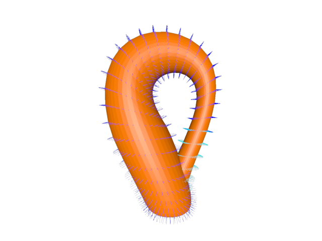geometry klein bottle
