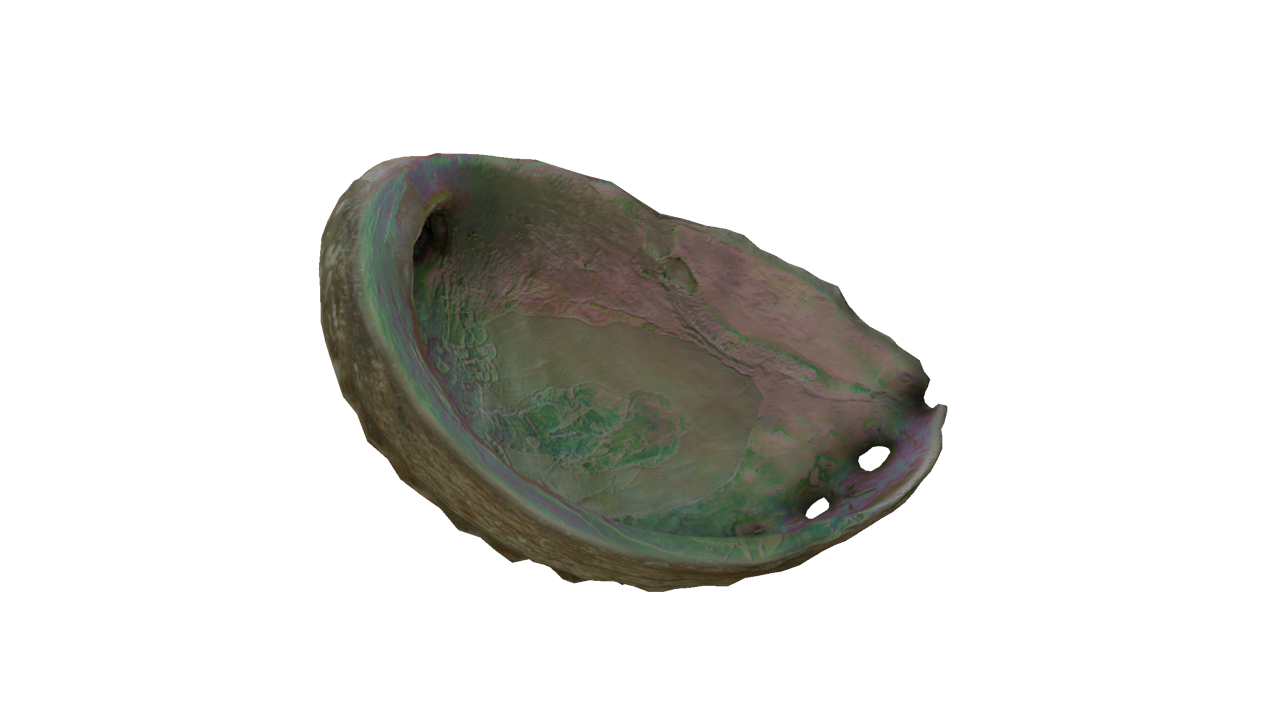 iridescence