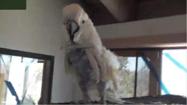 video yuv