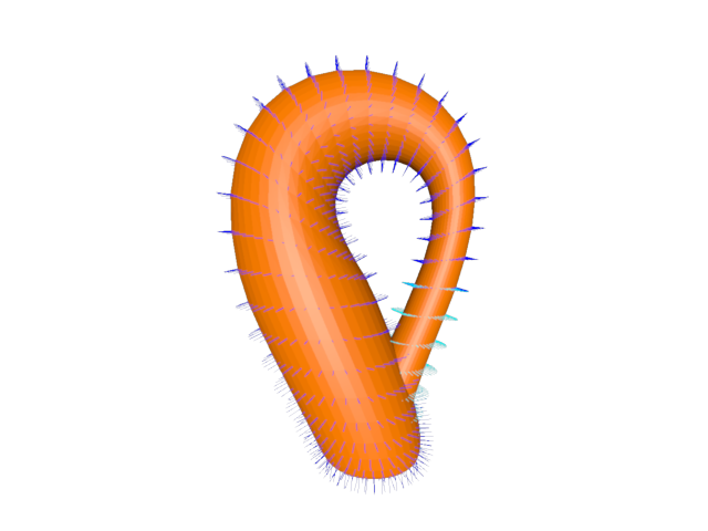 geometry klein bottle